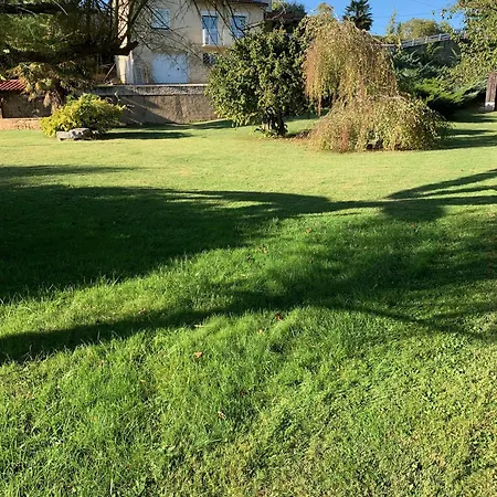 Maison D Hotes Greenhouse ベッド・アンド・ブレックファスト アルビ