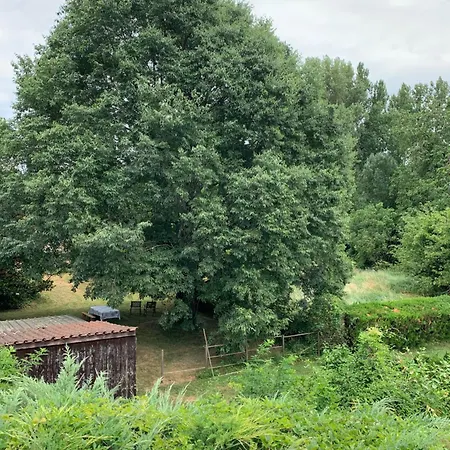 Maison D Hotes Greenhouse アルビ