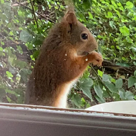 Maison D Hotes Greenhouse Albi