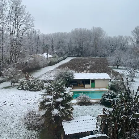 Maison D Hotes Greenhouse 3* Albi