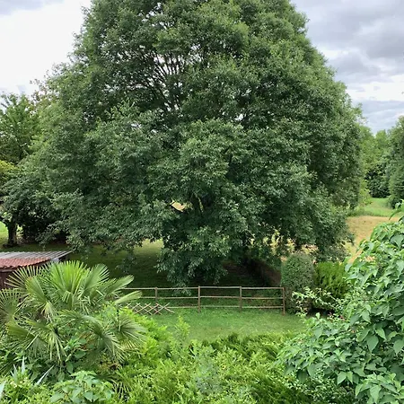 Maison D Hotes Greenhouse 3*