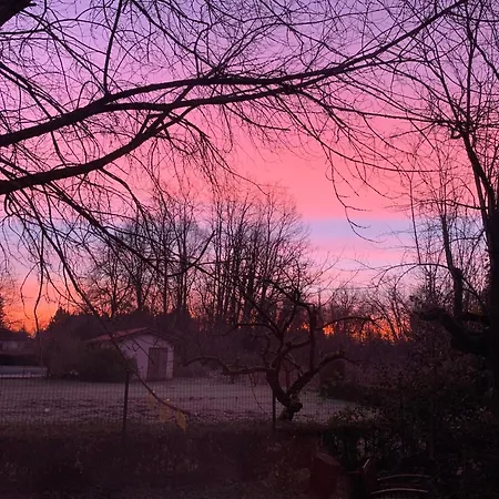 Maison D Hotes Greenhouse 3*