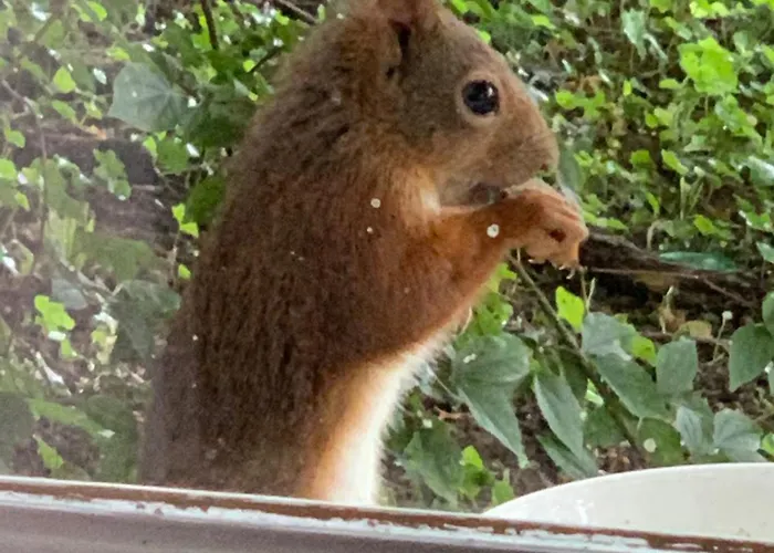 Maison D Hotes Greenhouse Albi